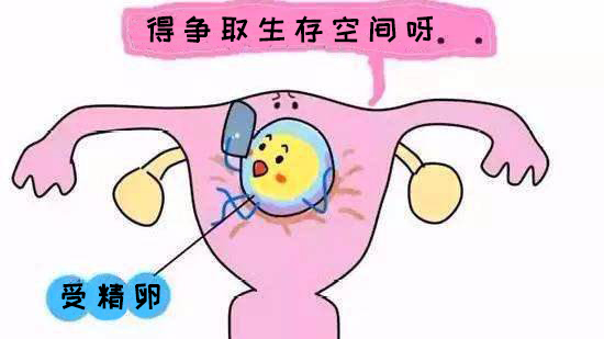 警惕！宫腔粘连——备孕中的隐形杀手